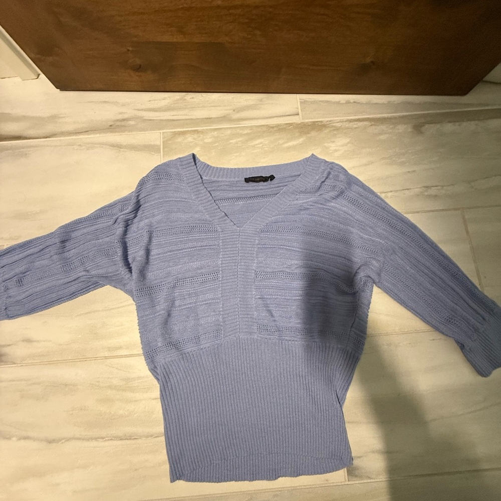 The Limited Purple V-Neck Sweater